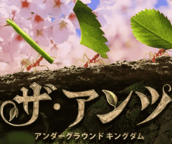 ザ・アンツ（StepUp）