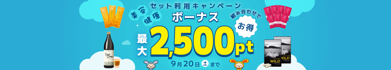 組み合わせておトク！セット利用ボーナスキャンペーン